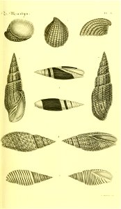 n50_w1150