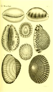 n48_w1150