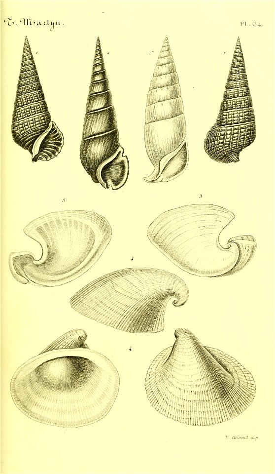 n106_w1150