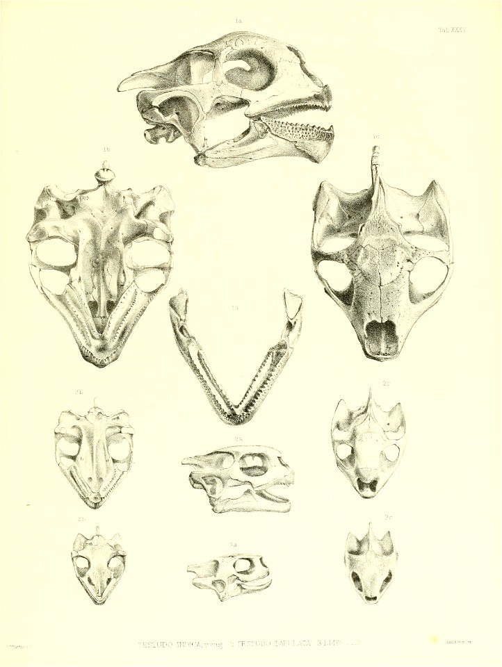 n174_w1150