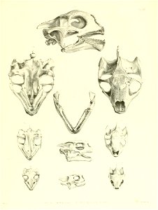 n174_w1150