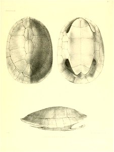 n144_w1150