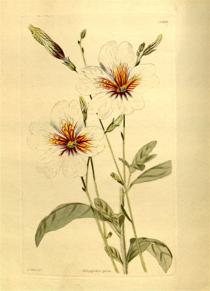 n111_w1150