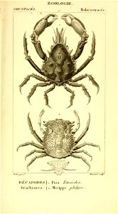 n528_w1150