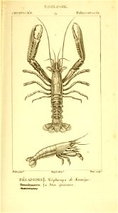 n558_w1150