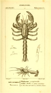 n554_w1150