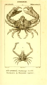 n524_w1150