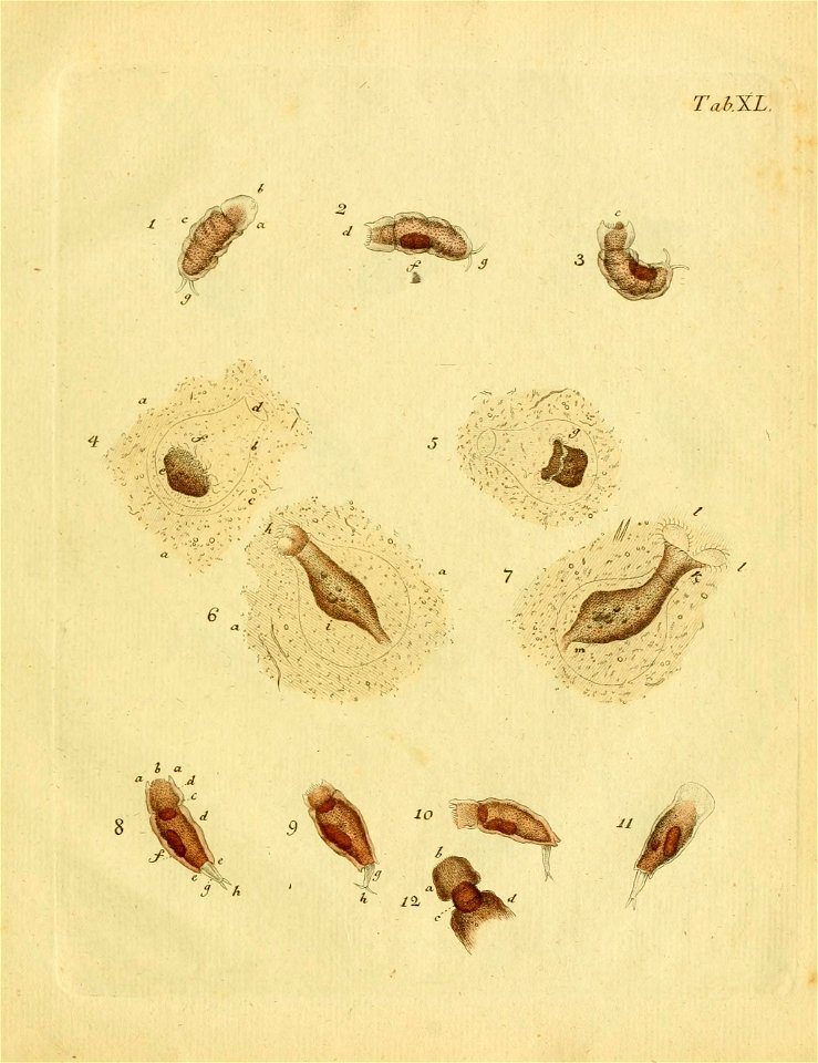 n514_w1150