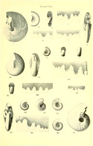n68_w1150