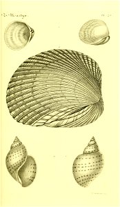 n94_w1150