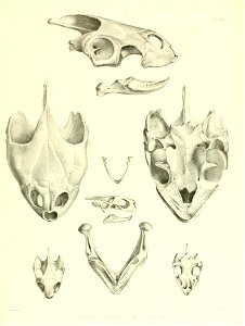 n178_w1150