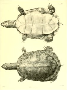 n114_w1150