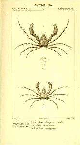 n532_w1150
