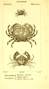 n502_w1150