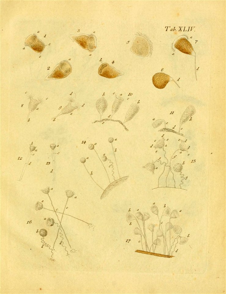 n522_w1150