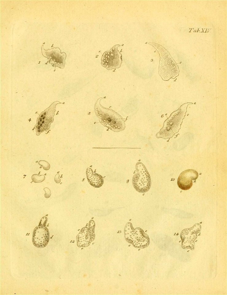 n462_w1150