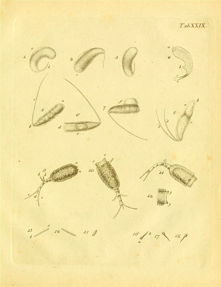 n492_w1150