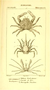 n530_w1150