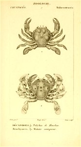 n498_w1150