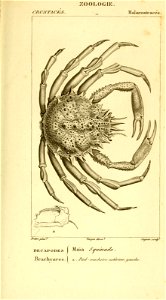 n526_w1150