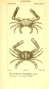 n496_w1150