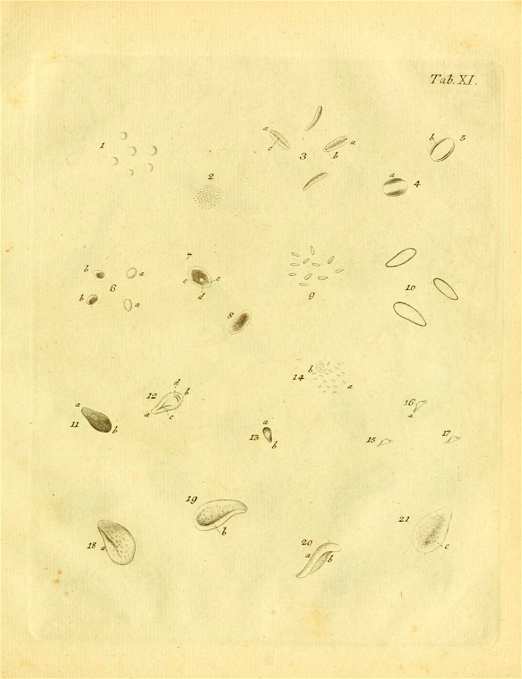 n456_w1150