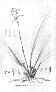 n143_w1150