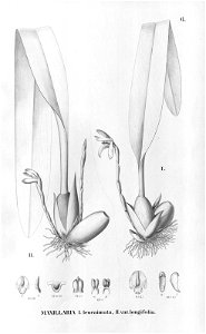 n113_w1150