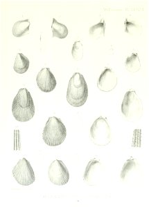 n254_w1150
