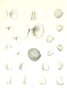 n224_w1150
