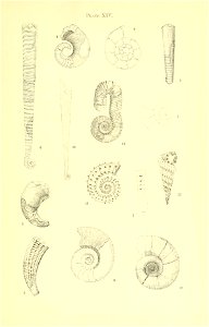 n92_w1150