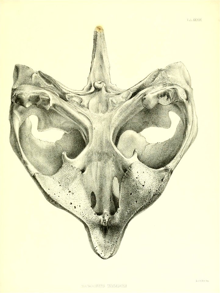 n182_w1150