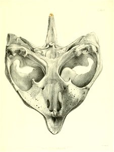 n182_w1150