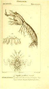 n570_w1150