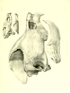 n180_w1150