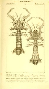 n568_w1150