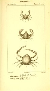 n538_w1150