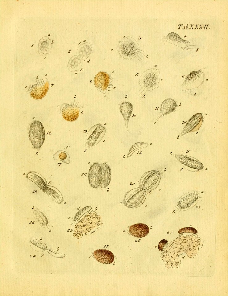 n498_w1150
