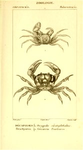 n508_w1150