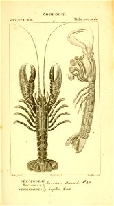 n566_w1150