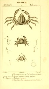 n506_w1150