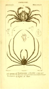 n536_w1150