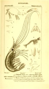 n564_w1150