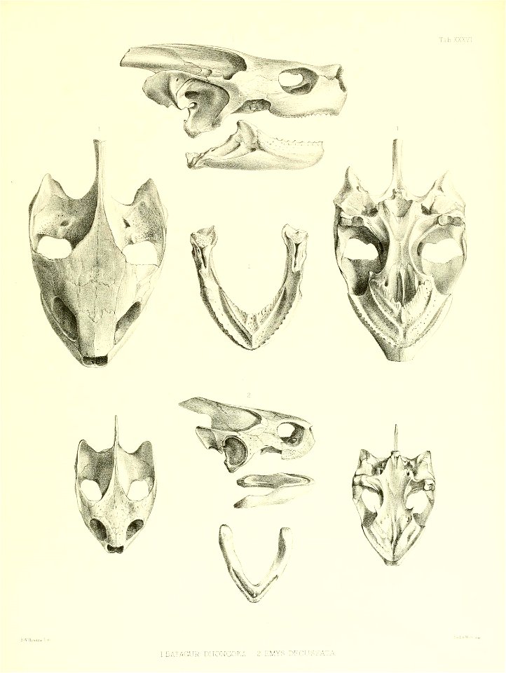 n176_w1150