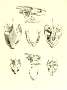n176_w1150