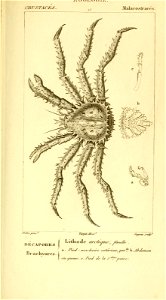 n534_w1150