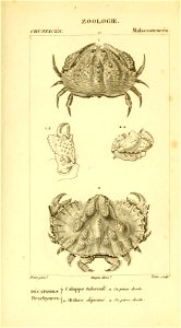 n504_w1150
