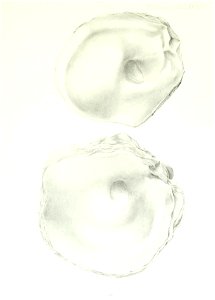 n262_w1150