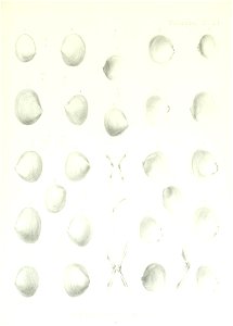 n202_w1150