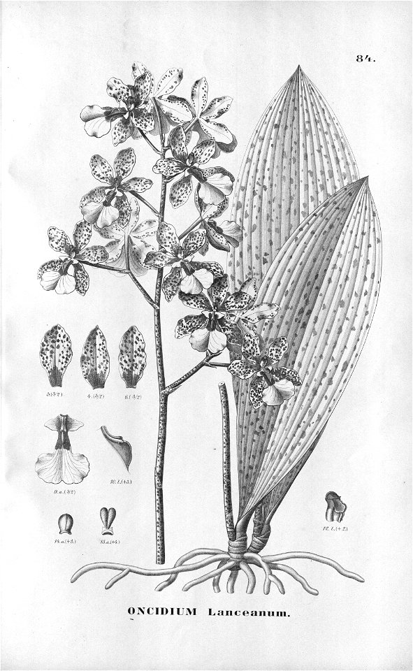 n402_w1150